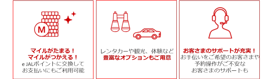 マイルがたまる！マイルがつかえる！　豊富なオプションもご用意　お客さまのサポートが充実！